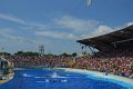 Marineland aout 2014 30